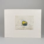 1337 4334 COLOR ETCHINGS